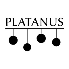 Platanus